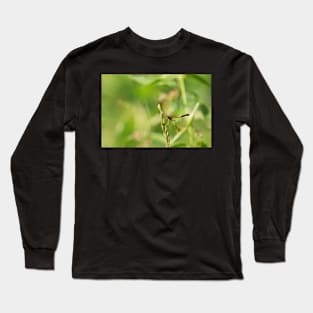 Ichneumon Long Sleeve T-Shirt